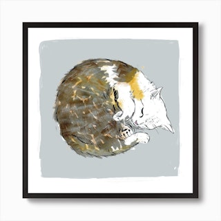 Cat Sleeping Square Art Print