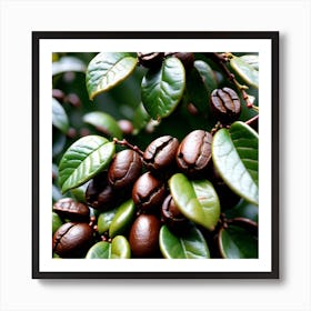 Coffee Beans On A Tree 54 Art Print