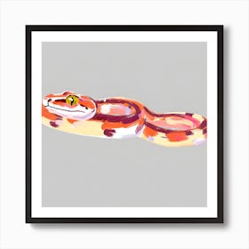 Red Tailed Boa Snake 07 Art Print