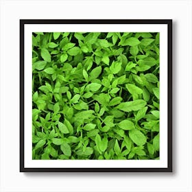 Background Of Green Leaves Art Print