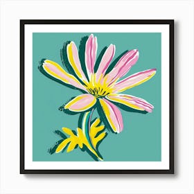 Cineraria 2 Square Flower Illustration Art Print