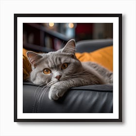 Grey Cat Laying On Couch Art Print