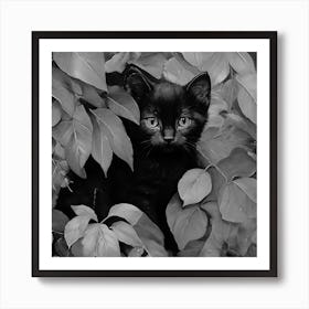 Black and White Black Cat In Leaves 1 Art Print