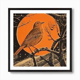 Retro Bird Lithograph Hermit Thrush 3 Art Print