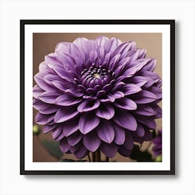 Large purple Dahlia flower Art Print