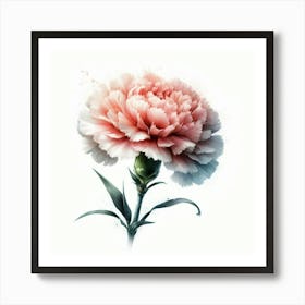 Carnation Flower 1 Art Print