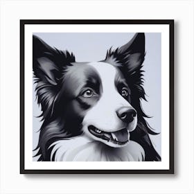 Black and White Border Collie Art Print