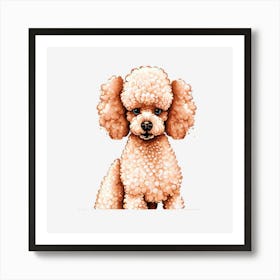 Poodle Art Print