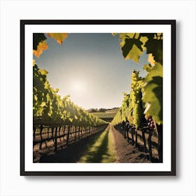 Vineyards In The Sun Art Print