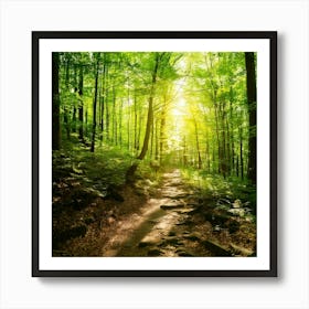 Firefly Sunlit Path Forest Background 56452 Art Print