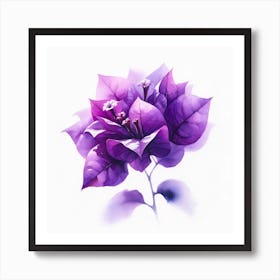 Purple Bougainvillea Art Print