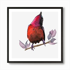 Bird On A Branch 2 Art Print