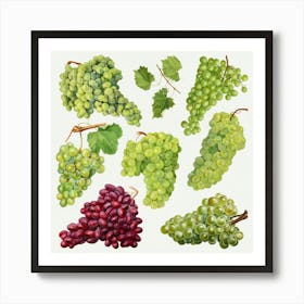 Watercolor Grapes Art Print