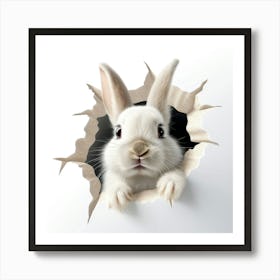 Rabbit Peeking Out Of Hole Art Print