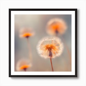 Dandelion Art Print