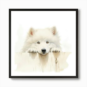 Samoyed 8 Art Print