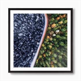 Aerial View Of A Forest Art Print