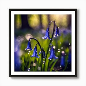 World in Miniature, Sunlight through Raindrops with Woodland Bluebells Art Print