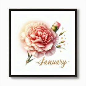 Carnation - January Birth Flower 1 Art Print