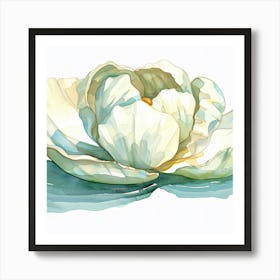 Lotus Flower 2 Art Print