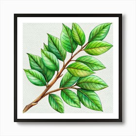 Branch Of Green Leaves With Detailed Veins Art Print