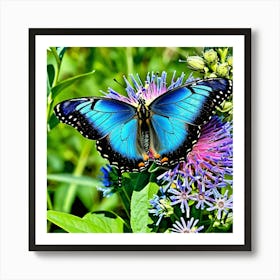 Butterflies Insect Lepidoptera Wings Antenna Colorful Flutter Nectar Pollen Metamorphosis (21) Art Print