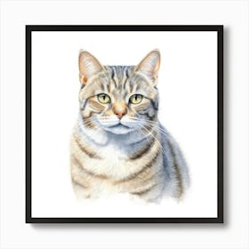 American Wirehair Shorthair Cat Portrait 2 1 Art Print