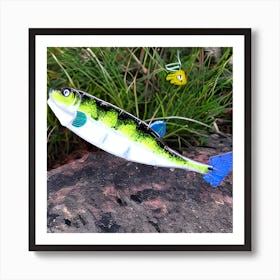 Bass Fishing Lure 1 Art Print