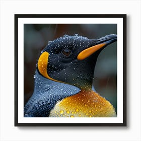 King Penguin 14 Art Print