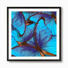 Blue Butterflies Art Print