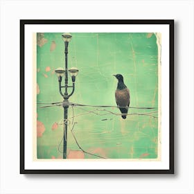 Painted Birds Hate Street Art Art Print