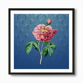Vintage Gallic Rose Botanical on Bahama Blue Pattern n.2542 Art Print