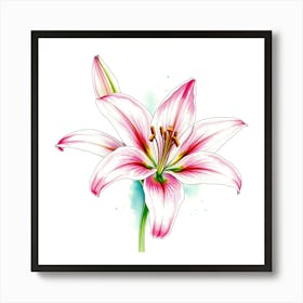 Pink Lily 9 Art Print