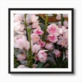 Pink Orchids 8 Art Print