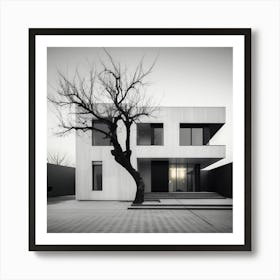 Modern House With Tree Art Print