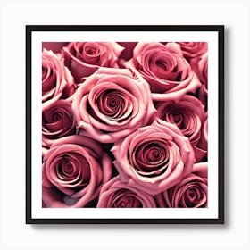 Pink Roses 16 Art Print