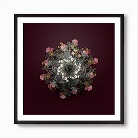 Vintage Ixia Longiflora Flower Wreath on Wine Red n.2448 Art Print