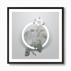 Vintage Big Leaved Climbing Rose Minimalist Botanical Geometric Circle on Soft Gray Art Print