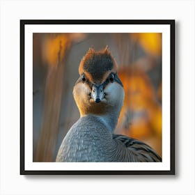 Portrait Of A Duck Art Print