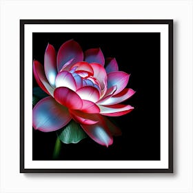 Lotus Flower 26 Art Print