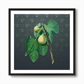 Vintage Fig Botanical on Slate Gray Pattern n.1227 Art Print