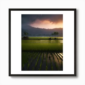 Sunset In The Rice Fields Art Print