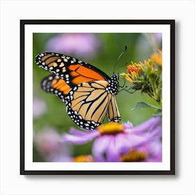 Monarch Butterfly 15 Art Print