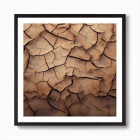 Cracked Earth 6 Art Print