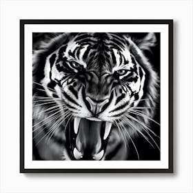 Tiger 24 Art Print