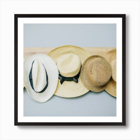 Summer Hats Art Print