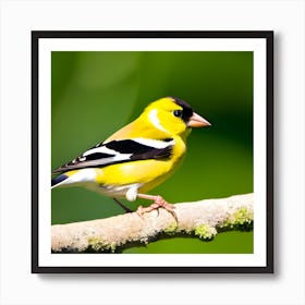 Goldfinch 12 Art Print