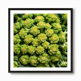 Florets Of Broccoli 9 Art Print