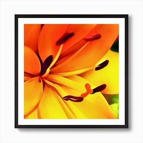 Yellow Lily Art Print