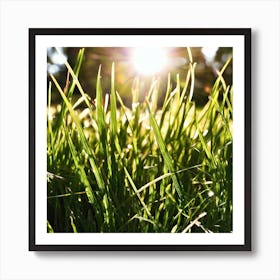 Grass In The Sun Art Print